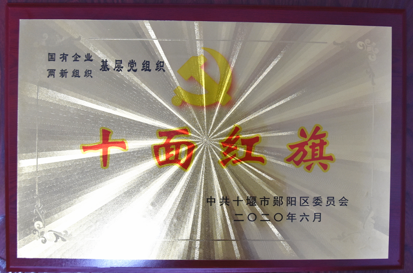 基層黨組織(zhī)“十面紅旗”2020