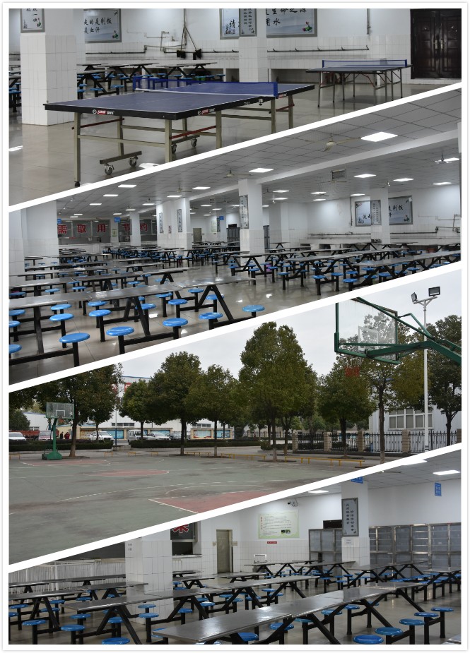 1574240826331238.jpg 1574240826331238.jpg