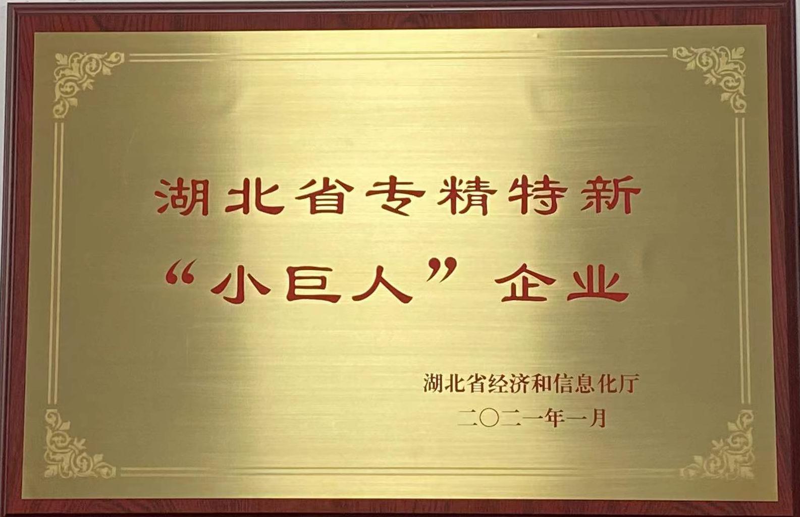 湖(hú)北省專精特(tè)新小巨人