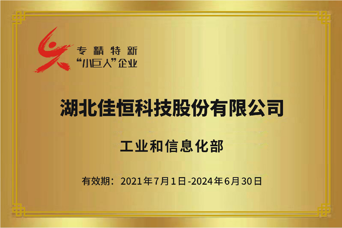 國(guo)家級專精特(te)新小巨人2021