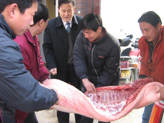 慰(wei)問茶店福利(li)院老人